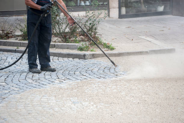 Best Pre-Holiday Cleaning  in Vinita Park, MO